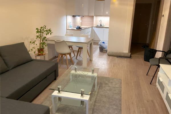 1 bedroom with open-plan kitchen flat to rent, 64 m², K Metru, Prague 1 bedroom with open-plan kitchen flat to rent, 64 m², K Metru, Prague