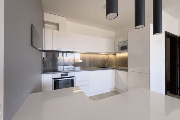 1 bedroom with open-plan kitchen flat for sale, 65 m², Rudolfa Holeky, Praha 1 bedroom with open-plan kitchen flat for sale, 65 m², Rudolfa Holeky, Praha