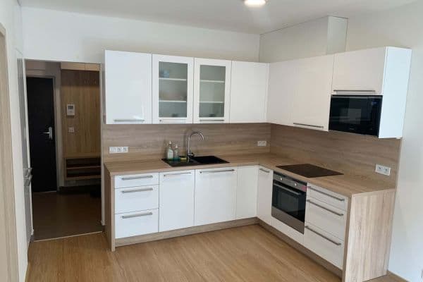 1 bedroom with open-plan kitchen flat to rent, 48 m², Pod Kavalírkou, Praha 1 bedroom with open-plan kitchen flat to rent, 48 m², Pod Kavalírkou, Praha