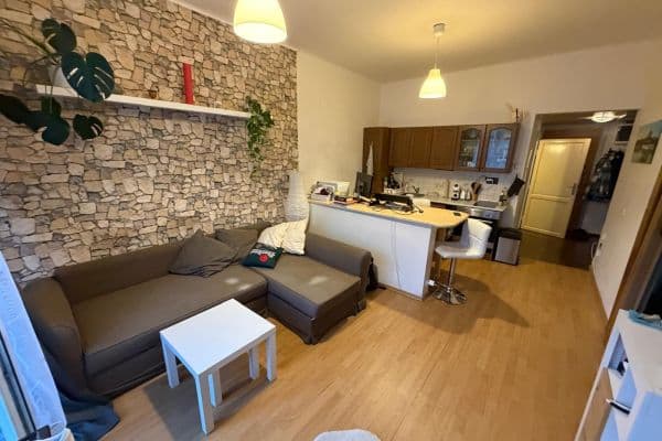1 bedroom with open-plan kitchen flat to rent, 52 m², Hartigova, Praha 1 bedroom with open-plan kitchen flat to rent, 52 m², Hartigova, Praha