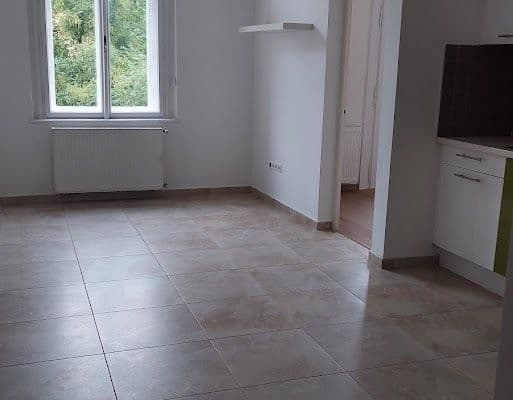 1 bedroom with open-plan kitchen flat to rent, 42 m², Pernerova, Praha 1 bedroom with open-plan kitchen flat to rent, 42 m², Pernerova, Praha