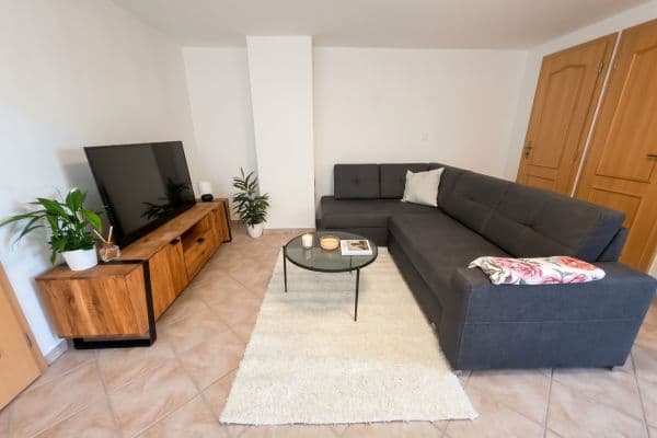 1 bedroom with open-plan kitchen flat to rent, 54 m², Podolí 1 bedroom with open-plan kitchen flat to rent, 54 m², Podolí