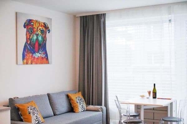 1 bedroom with open-plan kitchen flat to rent, 54 m², Jankovcova, Praha 1 bedroom with open-plan kitchen flat to rent, 54 m², Jankovcova, Praha