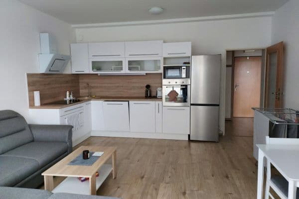 1 bedroom with open-plan kitchen flat to rent, 49 m², Poděbradská, Praha 1 bedroom with open-plan kitchen flat to rent, 49 m², Poděbradská, Praha