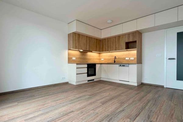 1 bedroom with open-plan kitchen flat to rent, 59 m², Jižní, Brno 1 bedroom with open-plan kitchen flat to rent, 59 m², Jižní, Brno