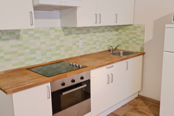 1 bedroom with open-plan kitchen flat to rent, 48 m², Levá, Praha 1 bedroom with open-plan kitchen flat to rent, 48 m², Levá, Praha