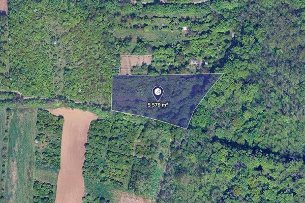 plot for sale, 5,579 m², Židlochovice plot for sale, 5,579 m², Židlochovice