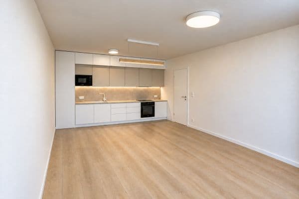 3 bedroom with open-plan kitchen flat to rent, 100 m², Gollové, Praha 3 bedroom with open-plan kitchen flat to rent, 100 m², Gollové, Praha