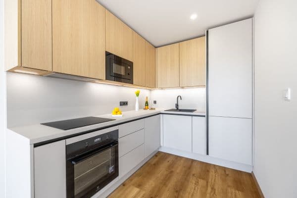 1 bedroom with open-plan kitchen flat for sale, 42 m², Bohumínská, Praha 1 bedroom with open-plan kitchen flat for sale, 42 m², Bohumínská, Praha