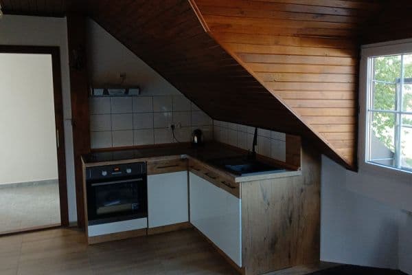 1 bedroom with open-plan kitchen flat to rent, 100 m², Hradec Králové 1 bedroom with open-plan kitchen flat to rent, 100 m², Hradec Králové