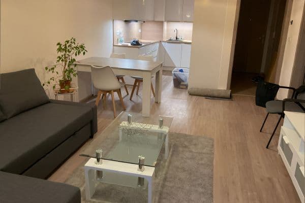 1 bedroom with open-plan kitchen flat to rent, 64 m², K Metru, Prague 1 bedroom with open-plan kitchen flat to rent, 64 m², K Metru, Prague