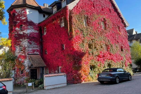 3 bedroom flat to rent, 100 m², Schopfheim 3 bedroom flat to rent, 100 m², Schopfheim