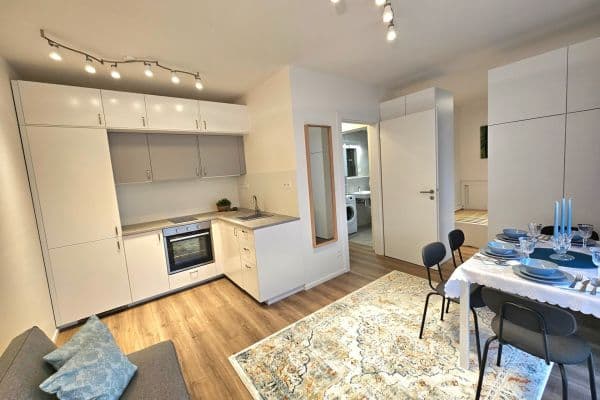 1 bedroom with open-plan kitchen flat to rent, 35 m², Arnošta Valenty, Praha 1 bedroom with open-plan kitchen flat to rent, 35 m², Arnošta Valenty, Praha
