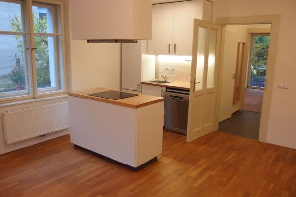 1 bedroom with open-plan kitchen flat to rent, 48 m², U Kněžské louky, Praha 1 bedroom with open-plan kitchen flat to rent, 48 m², U Kněžské louky, Praha