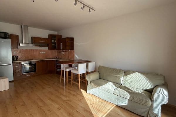 1 bedroom with open-plan kitchen flat to rent, 45 m², Ginzova, Praha 1 bedroom with open-plan kitchen flat to rent, 45 m², Ginzova, Praha