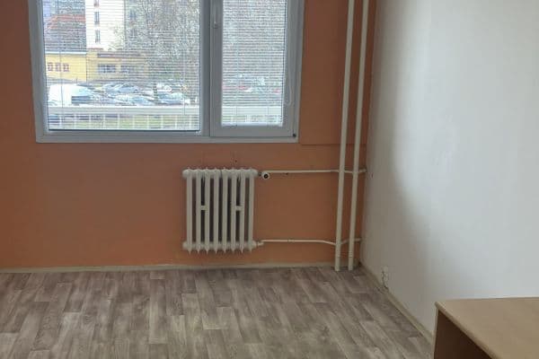 1 bedroom with open-plan kitchen flat to rent, 45 m², Bítovská, Praha 1 bedroom with open-plan kitchen flat to rent, 45 m², Bítovská, Praha