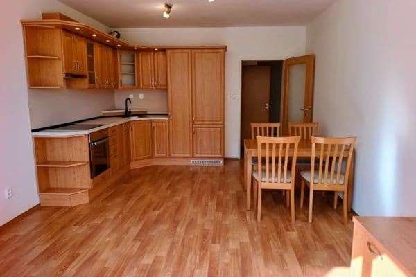 1 bedroom with open-plan kitchen flat to rent, 54 m², Herlíkovická, Praha 1 bedroom with open-plan kitchen flat to rent, 54 m², Herlíkovická, Praha