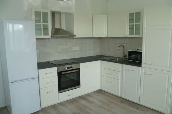 1 bedroom with open-plan kitchen flat to rent, 52 m², Velký Osek 1 bedroom with open-plan kitchen flat to rent, 52 m², Velký Osek