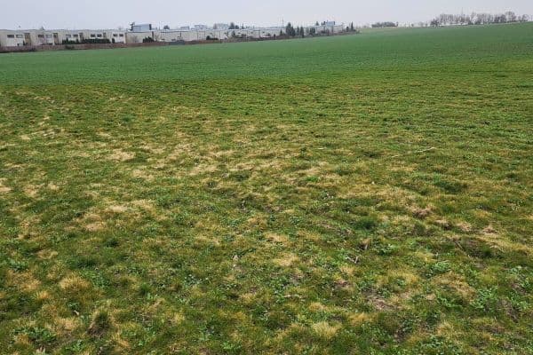 plot for sale, 12,054 m², Čelákovice plot for sale, 12,054 m², Čelákovice
