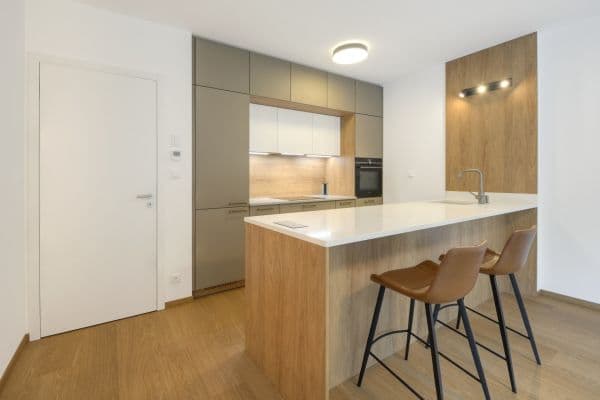 1 bedroom with open-plan kitchen flat to rent, 58 m², U Sluncové, Praha 1 bedroom with open-plan kitchen flat to rent, 58 m², U Sluncové, Praha