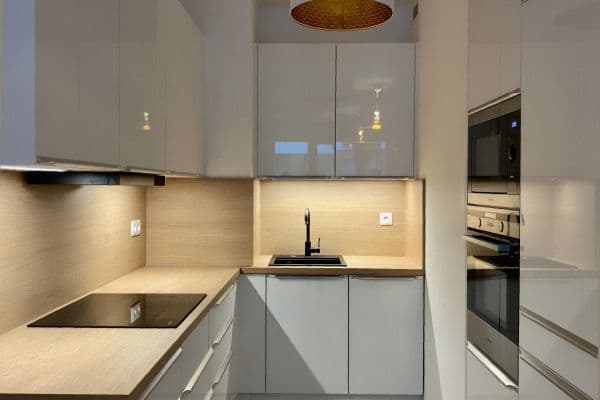 1 bedroom with open-plan kitchen flat to rent, 64 m², K Metru, Prague 1 bedroom with open-plan kitchen flat to rent, 64 m², K Metru, Prague