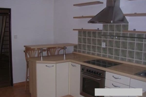1 bedroom with open-plan kitchen flat to rent, 40 m², Na Dědince, Praha 1 bedroom with open-plan kitchen flat to rent, 40 m², Na Dědince, Praha