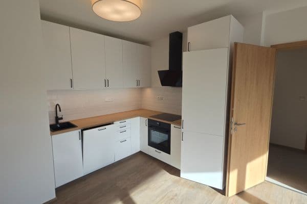 1 bedroom with open-plan kitchen flat to rent, 58 m², Gollové, Praha 1 bedroom with open-plan kitchen flat to rent, 58 m², Gollové, Praha