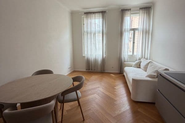 1 bedroom with open-plan kitchen flat to rent, 58 m², Lublaňská, Praha 1 bedroom with open-plan kitchen flat to rent, 58 m², Lublaňská, Praha