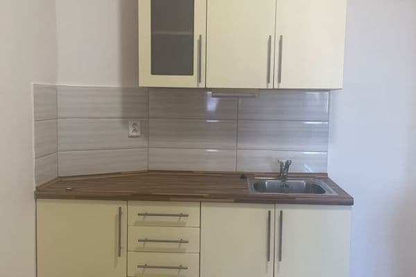 2 bedroom flat to rent, 50 m², 28. pluku, Praha 2 bedroom flat to rent, 50 m², 28. pluku, Praha