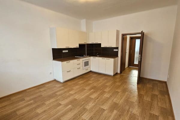 1 bedroom with open-plan kitchen flat to rent, 40 m², Spáčilova, Brno 1 bedroom with open-plan kitchen flat to rent, 40 m², Spáčilova, Brno