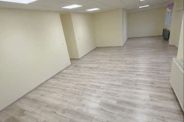non-residential property to rent, 90 m², Slovinská, Praha non-residential property to rent, 90 m², Slovinská, Praha