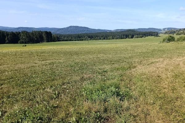plot for sale, 6,999 m², Vyšší Brod plot for sale, 6,999 m², Vyšší Brod