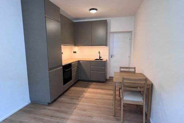 1 bedroom with open-plan kitchen flat to rent, 42 m², Musílkova, Praha 1 bedroom with open-plan kitchen flat to rent, 42 m², Musílkova, Praha