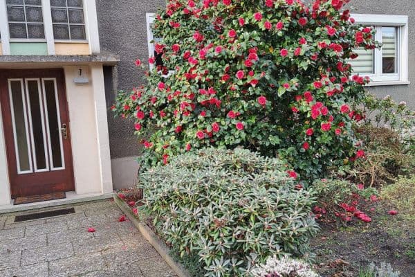 3 bedroom flat to rent, 53 m², Bottrop 3 bedroom flat to rent, 53 m², Bottrop