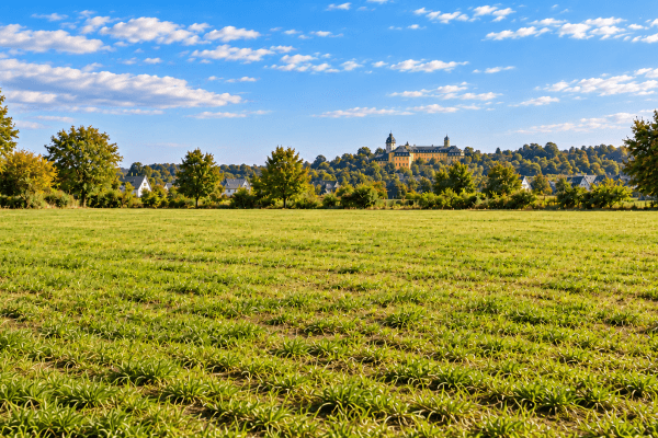 plot for sale, 4,000 m², Hachenburg plot for sale, 4,000 m², Hachenburg