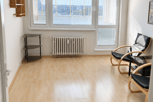 1 bedroom with open-plan kitchen flat for sale, 47 m², Štúrova, Praha 1 bedroom with open-plan kitchen flat for sale, 47 m², Štúrova, Praha