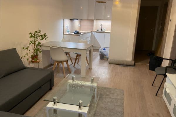 1 bedroom with open-plan kitchen flat to rent, 64 m², Do Zahrádek I, Prague 1 bedroom with open-plan kitchen flat to rent, 64 m², Do Zahrádek I, Prague