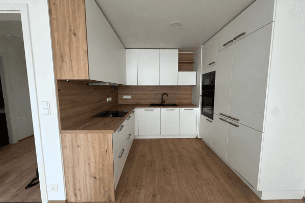 1 bedroom with open-plan kitchen flat to rent, 55 m², Nebřenická, Praha 1 bedroom with open-plan kitchen flat to rent, 55 m², Nebřenická, Praha