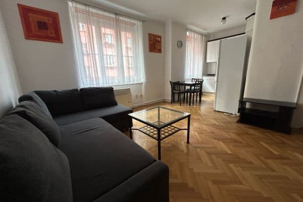 1 bedroom with open-plan kitchen flat to rent, 60 m², U Průhonu, Praha 1 bedroom with open-plan kitchen flat to rent, 60 m², U Průhonu, Praha