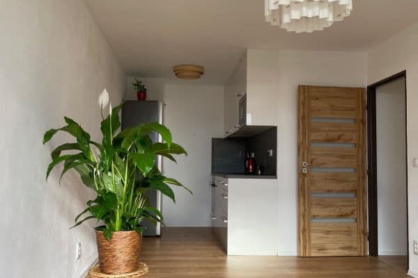 1 bedroom with open-plan kitchen flat to rent, 39 m², Lovosická, Praha 1 bedroom with open-plan kitchen flat to rent, 39 m², Lovosická, Praha