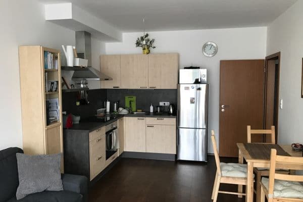 1 bedroom with open-plan kitchen flat to rent, 53 m², Makedonská, Praha 1 bedroom with open-plan kitchen flat to rent, 53 m², Makedonská, Praha