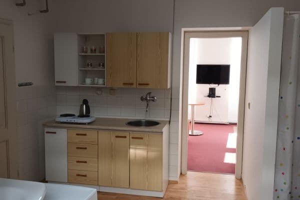 1 bedroom with open-plan kitchen flat to rent, 34 m², Na Petynce, Praha 1 bedroom with open-plan kitchen flat to rent, 34 m², Na Petynce, Praha