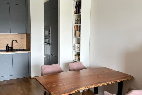 1 bedroom with open-plan kitchen flat to rent, 56 m², Mezi vodami, Praha 1 bedroom with open-plan kitchen flat to rent, 56 m², Mezi vodami, Praha