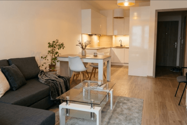 1 bedroom with open-plan kitchen flat to rent, 65 m², K Metru, Prague 1 bedroom with open-plan kitchen flat to rent, 65 m², K Metru, Prague