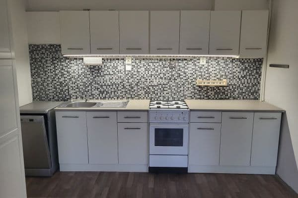 1 bedroom with open-plan kitchen flat to rent, 48 m², Lucemburská, Praha 1 bedroom with open-plan kitchen flat to rent, 48 m², Lucemburská, Praha