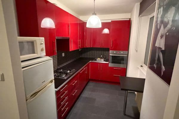 1 bedroom with open-plan kitchen flat to rent, 55 m², Podolská, Praha 1 bedroom with open-plan kitchen flat to rent, 55 m², Podolská, Praha