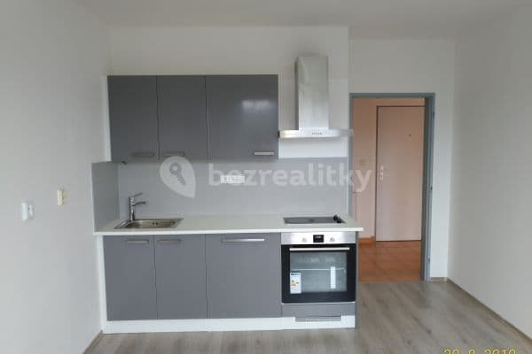 1 bedroom with open-plan kitchen flat to rent, 45 m², Záběhlická, Hlavní město Praha