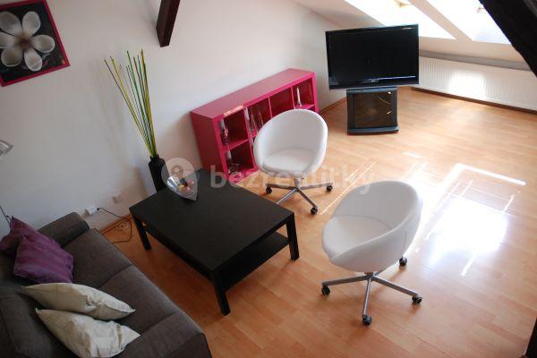 1 bedroom with open-plan kitchen flat to rent, 74 m², Urxova, Prague, Prague