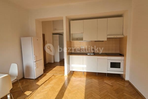 1 bedroom with open-plan kitchen flat to rent, 55 m², Cihlářská, 