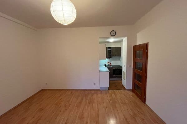 1 bedroom with open-plan kitchen flat to rent, 47 m², Lukášova, 1 bedroom with open-plan kitchen flat to rent, 47 m², Lukášova,